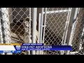 Chico Animal Shelter sees surge in adoptions with waived fees initiative