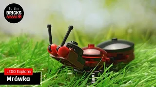 LEGO Explorer - Mrówka #11943