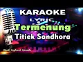Download Lagu Termenung Karaoke Tanpa Vokal