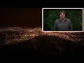 ► Brown Noise Sounds for 10 hours WITH VIDEO ~ Tinnitus Relief/Masking, Studying, or Sleeping