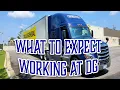 WHAT TO EXPECT IN A DOLLAR GENERAL ACCOUNT DG TRUCKING