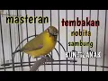 Download Lagu masteran pleci istimewa,tembakan nobita sambung wit wit kuntilanak.!!!