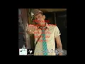 VYBZ KARTEL-SOMEBODY A GUH GET GUNSHOT