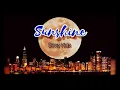 Lagu Stray Kids - SUNSHINE (Audio)