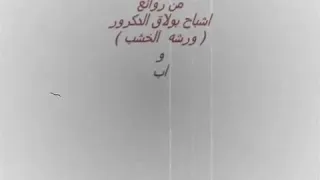 شارع الحياة  طارق الشيخ دندنها
