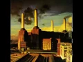 Download Lagu Pink Floyd - Pigs (Three different Ones)