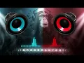 Download Lagu BASS BOOSTED JBL-MUSIC|SONG MIX|