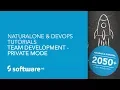 NaturalONE DevOps Tutorials - Team Development