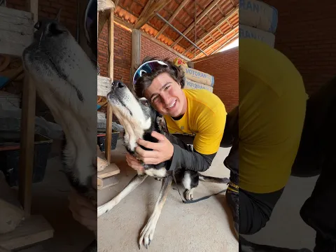MINHA CACHORRINHA FICOU PRESA