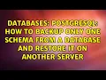 PostgreSQL How to backup only One Schema from a database and restore it on another server