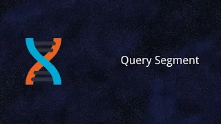 Dioxus Route Query Segment Rust Tutorial 46