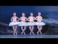 Download Lagu Swan Lake - Tchaikovsky MP3