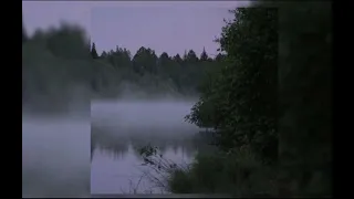 dove doll ver antihoney