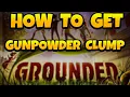 How to Get Gunpowder Clump in Grounded Game