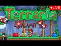 Live Modded Terraria Calamity And Decadent Mage Build Part 3 ig