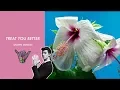 Shawn Mendes- Treat you better (Ashworth Remix) -Music Video