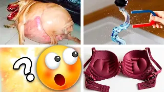 20 Cosas que NO Sabías hace 5 minutos ⏰😲
