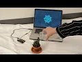 Visualizing Plant Responses to Watering Interactive Art Arduino