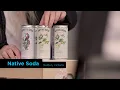 Native Soda - Digital Solutions program