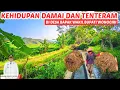 Download Lagu Surga Tersembunyi ‼️ Keindahan Alam Pedesaan di Pelosok utara Wonogiri | Gemah ripah Loh Jinawi