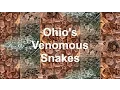Ohio s Venomous Snakes
