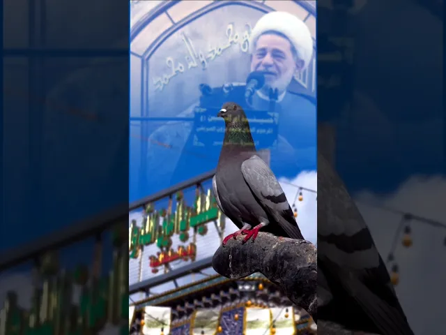 ⁣#ستوريات_انستا حسينيه #الشيخ جعفر الإبراهيمي  السلام عليكم يااهلنا