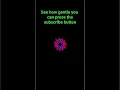 make this Amazing New Animation with python programming and turtle graphics