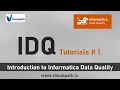 Informatica Data Quality Dimensions Informatica Data Quality Tutorial IDQ Online Training