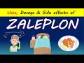 Zaleplon Sonata What to KNOW Uses Dosage Side effects