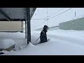 8 minuten geleden, chaos in Canada! Sneeuwstorm treft Quebec: 4,4 miljoen huizen zitten zonder st...