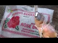 Download Lagu Cara Instan Membuat Pakan Anak Burung Pipit