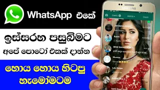 change whatsapp homescreen wallpaper 2020 sinhala nimesh academy