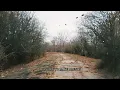 Waylon Wyatt - Stranger To Me (Official Lyric Video)