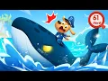Download Lagu Monster Laut yang Mengerikan | 🐋Mempopulerkan Ilmu Kelautan | Kartun Anak | Kepala Polisi Labrador