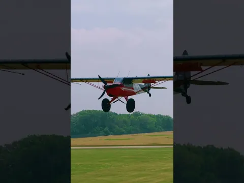 Just 2 cub bros double FISKing into Oshkosh