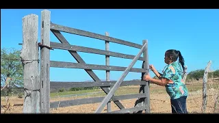 Filme a Dona do Pedaço