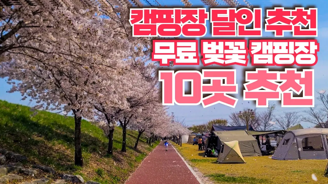 캠핑장의 달인 추천 벚꽃 캠핑장 10곳 벚꽃 캠핑 예약을 못했다고? 예약 없이 갈 수 있는 무료 벚꽃 캠핑장 노지 차박지 10곳 추천 ! 벚꽃 개화시기까지 예상 #벚꽃캠핑 썸네일