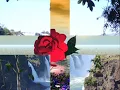 Siempre En Mi Mente - Industria Del Amor.