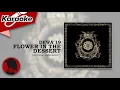 Download Lagu FLOWER IN THE DESERT - Dewa 19  |  Karaoke
