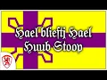Lagu Hael blieftj Hael - Huub Stoop [Heelse Folk Muziek] [+Nederlandse Vertaling]