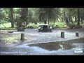 CampgroundViews com - Hoh Campground Olympic National Park Forks Washington WA