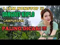 Download Lagu DANGDUT KOPLO CAMPURSARI 🎶 1 JAM NONSTOP ‼️ ADEM BANGET
