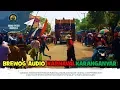 Download Lagu Menjadi Primadona BREWOG AUDIO Tampil Memukau Di KARNAVAL KARANGANYAR 2019