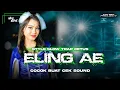 Lagu DJ ELING AE TRAP PARTY STYLE ADEM ‼️ CIK MEI PROJECT