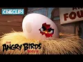 Download Lagu The Angry Birds Movie | Red's Angry Story | CineClips
