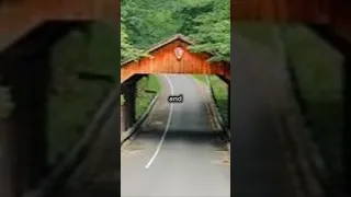 Thrilling Ride Through Michigan S Tunnel Of Trees Tunneloftrees Motorcycleride 