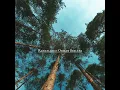 Sakinleştirici Müzik - Gevşeme Meditasyon Akademisi