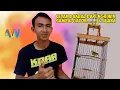 Download Lagu Mencetak Pleci Dakbal Dari Ngriwik Sampai Gacor dan Juara