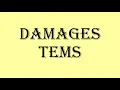 Tems - Damages (lyrics)