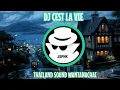Download Lagu DJ CEST LA VIE X THAILAND SOUND WANTANACHAI MENGKANE TIKTOK VIRAL